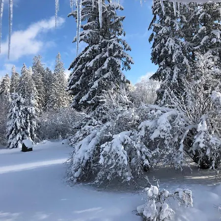 Дом отдыха Les Trois Pierres, Proche De Gerardmer