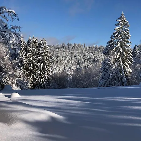 Les Trois Pierres, Proche De Gerardmer